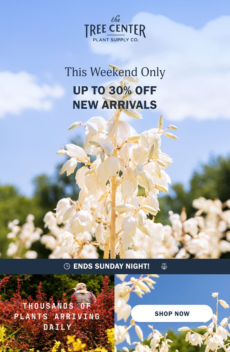 This weekend only, take up to 30% OFF our newest plants! We've got trucks arriving daily and new plants are flooding the farm. Act fast to lock in your plants for your new landscape. 🚛📦🌳 #thetreecenter
thetreecenter.com