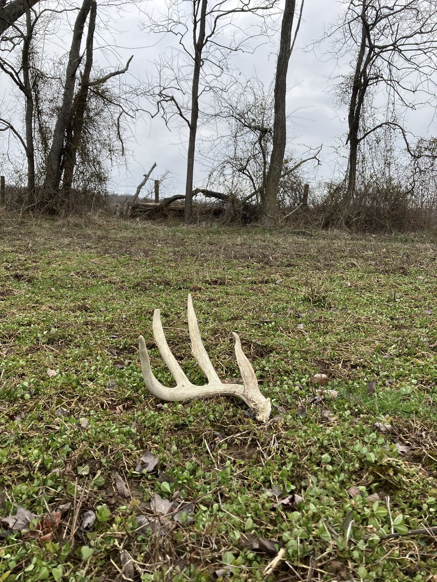 Doing a little frost seeding!! #Shedrally @WhitetailPropTV