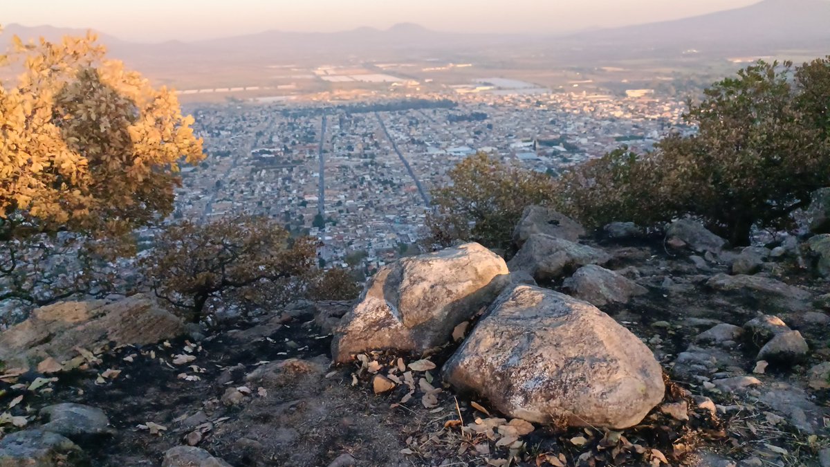 cachesanchez's tweet image. 💪😉 #CardioTime