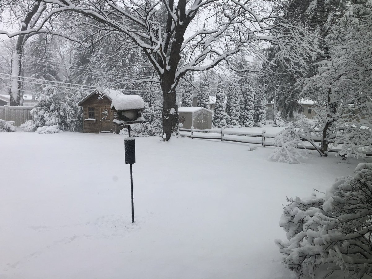StacyMerrick's tweet photo. It’s definitely pretty, but come on already, Spring. https://t.co/lDkfNs6txa