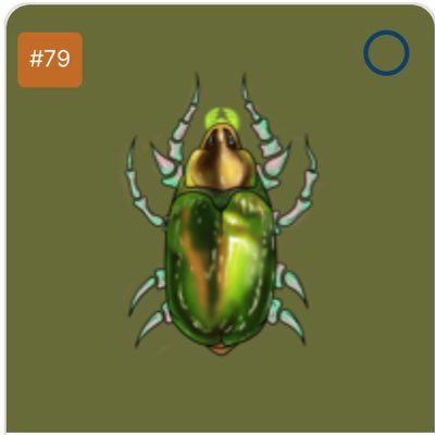 lazybugzzz's tweet image. #NewProfilePic