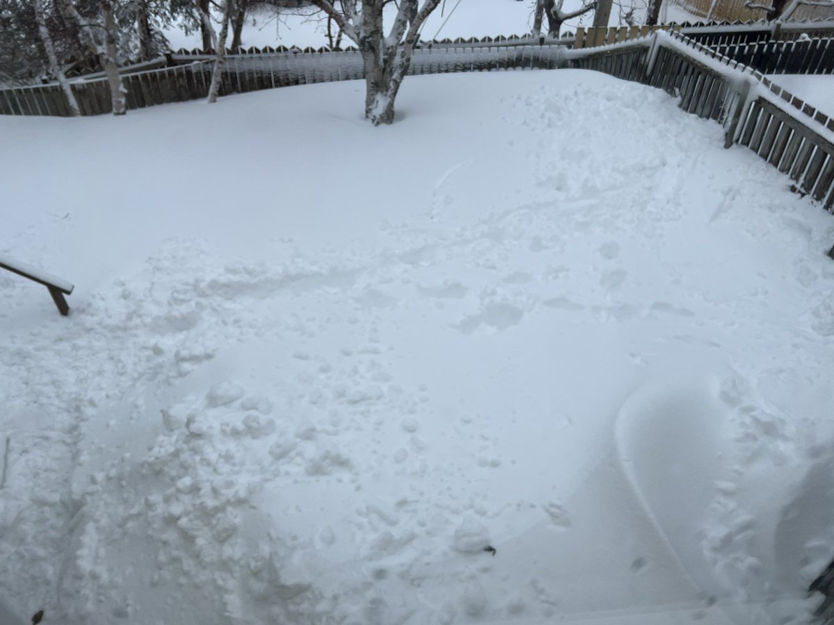 kevinjguest's tweet photo. When I think of March I think about bright skies, mild temperatures and bulbs starting to poke their heads out of the ground. NOT a 30+ cm storm and a backyard full of snow thatโs nearly up to the top of the fence. Each year, Iโm disappointed by March lol #nlwx #spinter https://t.co/cS77qnaflb