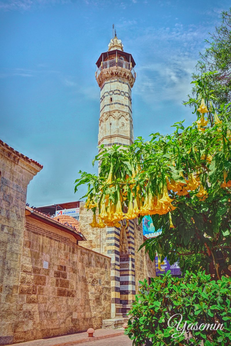 #Adana #fotoğraf #objektifimden #Mosque #architecture #lifeisstreet #sokakfotograflari #storyofthestreet