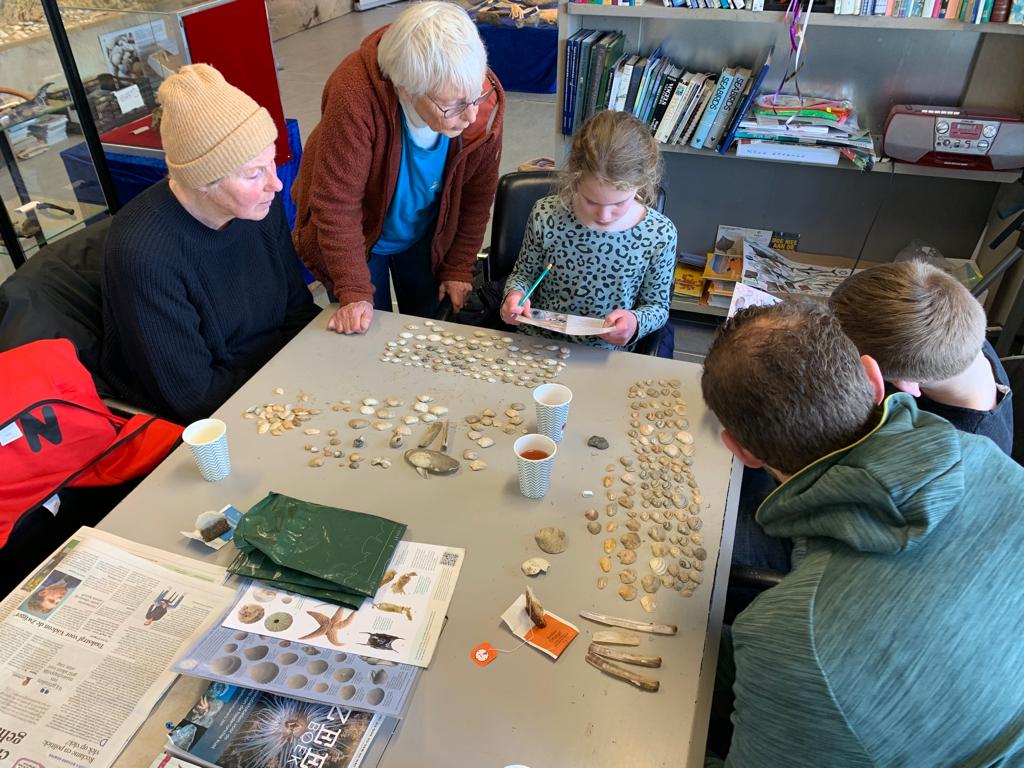 Schelpenteldag. Ook in het Natuurcentrum Katwijk zijn deskundigen aanwezig!