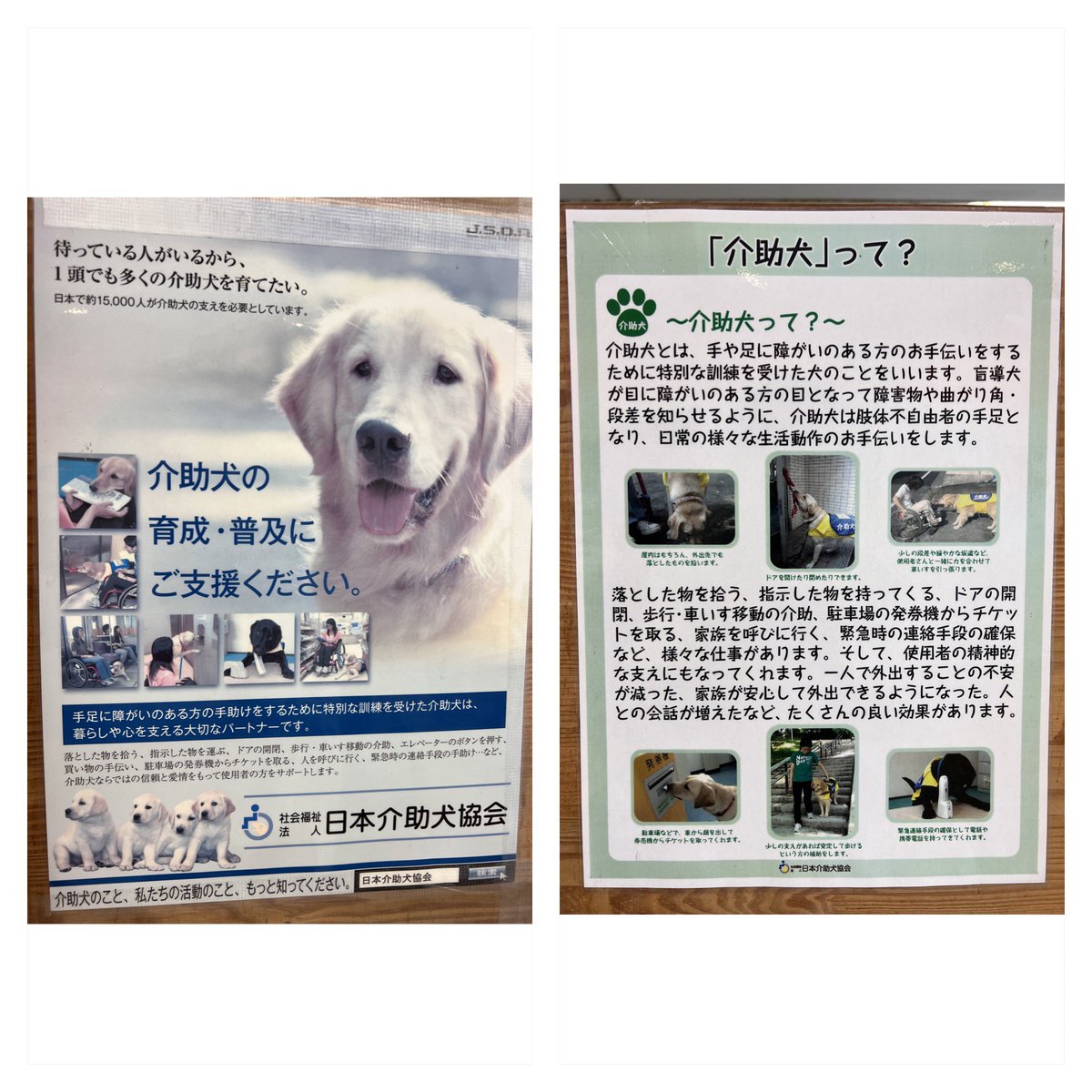 Makoto19890726's tweet photo. 今日行った愛・地球博記念公園(モリコロパーク)の近くに日本介助犬協会の介助犬総合訓練センターシンシアの丘がある。それぞれの最寄駅の愛・地球博記念公園駅には介助犬啓発のポスターや寄付付き自動販売機が設置されている。駅窓口には募金箱も設置されていた。
#介助犬 #補助犬 #JSDA_ServiceDog https://t.co/8CO7FojBoa