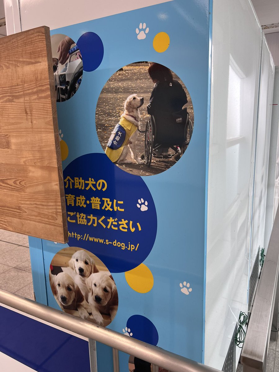 Makoto19890726's tweet photo. 今日行った愛・地球博記念公園(モリコロパーク)の近くに日本介助犬協会の介助犬総合訓練センターシンシアの丘がある。それぞれの最寄駅の愛・地球博記念公園駅には介助犬啓発のポスターや寄付付き自動販売機が設置されている。駅窓口には募金箱も設置されていた。
#介助犬 #補助犬 #JSDA_ServiceDog https://t.co/8CO7FojBoa