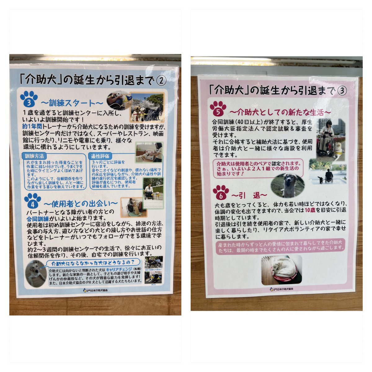 Makoto19890726's tweet photo. 今日行った愛・地球博記念公園(モリコロパーク)の近くに日本介助犬協会の介助犬総合訓練センターシンシアの丘がある。それぞれの最寄駅の愛・地球博記念公園駅には介助犬啓発のポスターや寄付付き自動販売機が設置されている。駅窓口には募金箱も設置されていた。
#介助犬 #補助犬 #JSDA_ServiceDog https://t.co/8CO7FojBoa