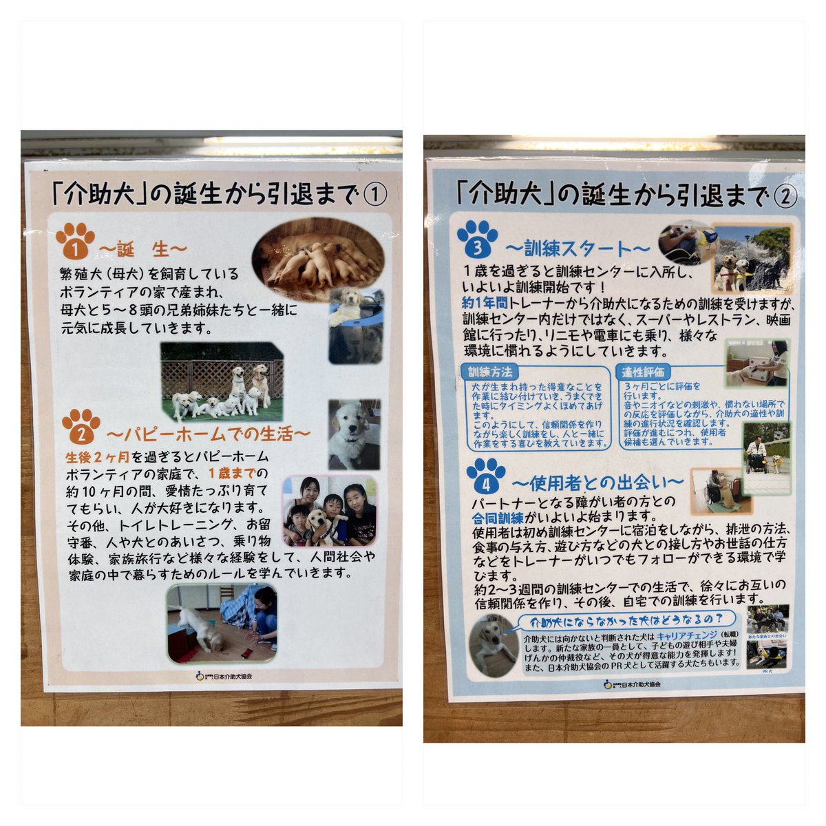 Makoto19890726's tweet photo. 今日行った愛・地球博記念公園(モリコロパーク)の近くに日本介助犬協会の介助犬総合訓練センターシンシアの丘がある。それぞれの最寄駅の愛・地球博記念公園駅には介助犬啓発のポスターや寄付付き自動販売機が設置されている。駅窓口には募金箱も設置されていた。
#介助犬 #補助犬 #JSDA_ServiceDog https://t.co/8CO7FojBoa