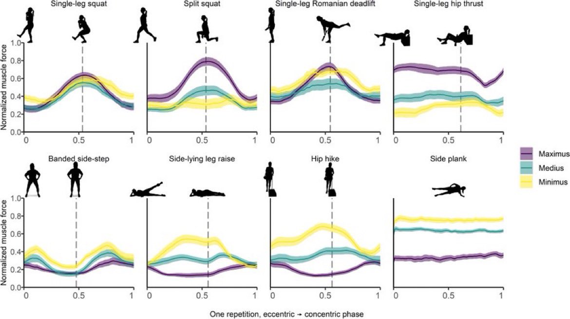 🍑🍑🍑MEJORES EJERCICIOS PARA GLÚTEO SEGÚN LA CIENCIA

🍑Glúteo mayor: Zancadas, peso muerto rumano unilateral y hip-thrust unilateral

🍑Glúteo medio: plancha lateral , sentadilla unilateral y hip-thrust unilateral

🍑Glúteo menor: plancha lateral y peso muerto rumano unilateral