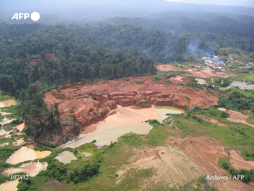 Agence France-Presse tweet media