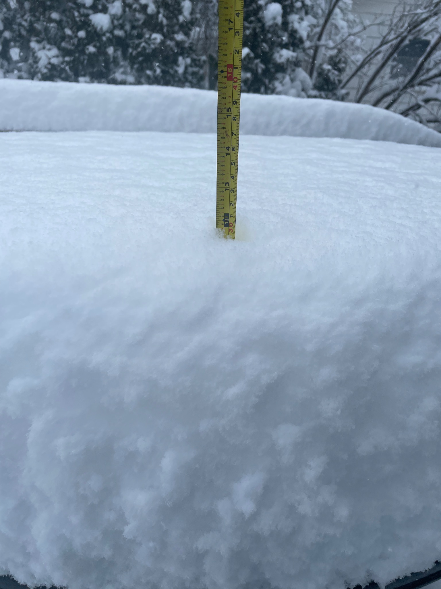 LolaTheToenado on Twitter "Wow! In about 6 hours, Snowfall totals are