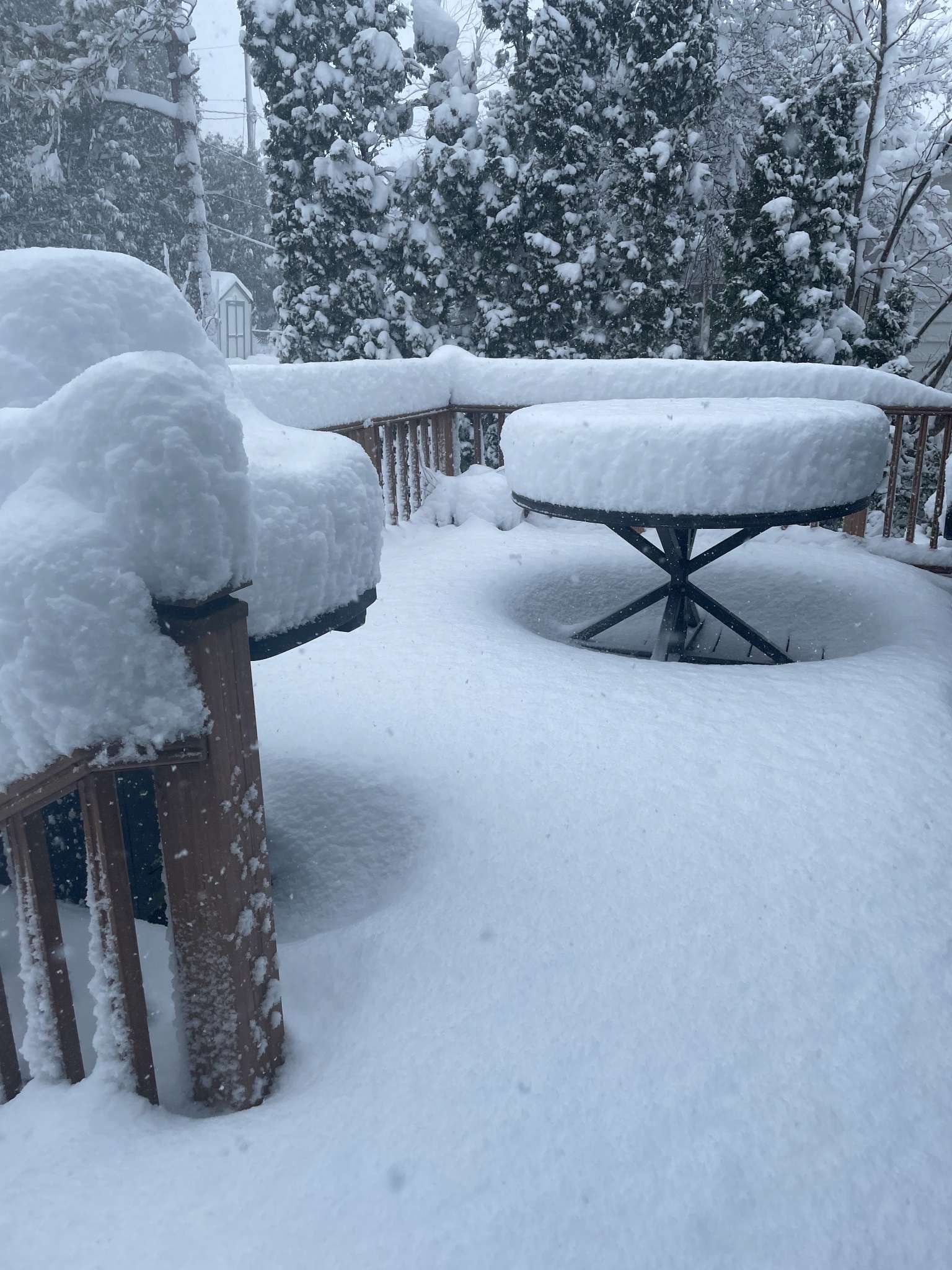 LolaTheToenado on Twitter "Wow! In about 6 hours, Snowfall totals are
