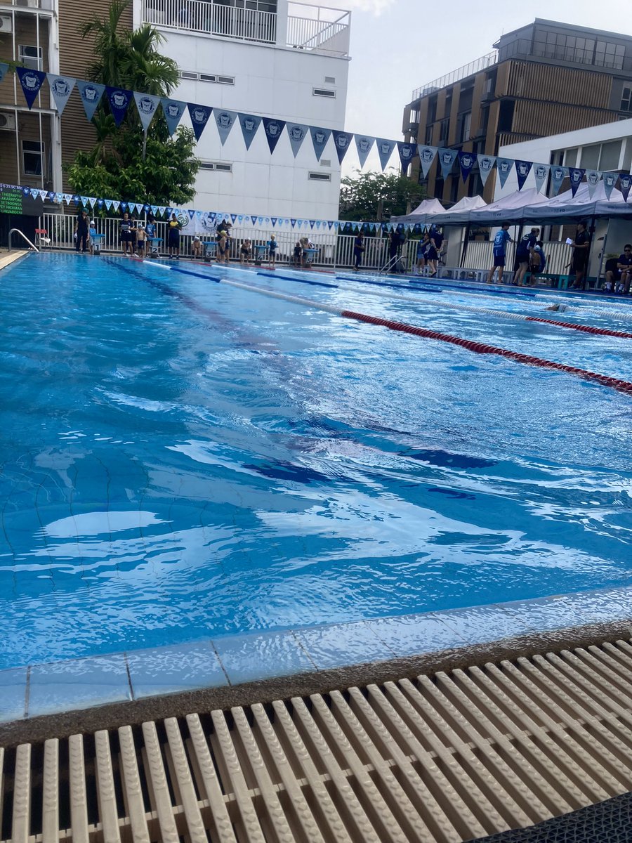 Vicki David tweet media