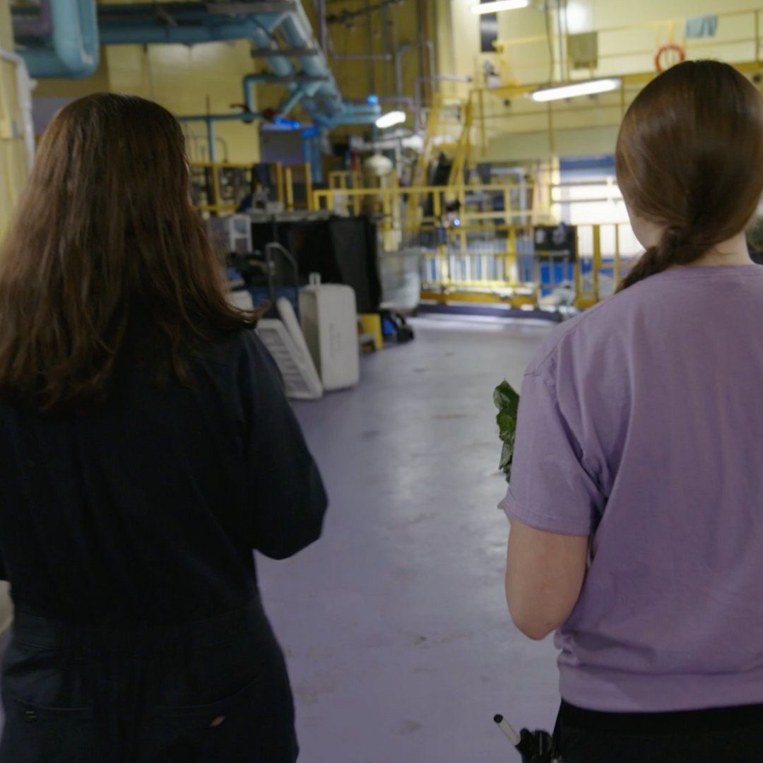 GirlsInScience's tweet photo. What is born on land, but spends most of its life in the water? Tune in to our social media channels next week to follow Dr. Larissa on her next Off Limits adventure and find out! https://t.co/oa82UTjWUX