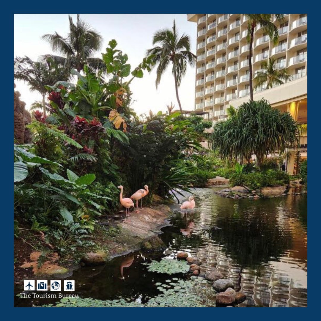 Bucket list trip to Maui for clients. 🌴☀️🌊🏖

Had an amazing time staying at The Westin Maui Resort 

Book your dream vacation today. 

#thetourismbureau #traveltheworld #lovetotravel #wanderlust #bookthetrip #maui #hawaii #bucketlist