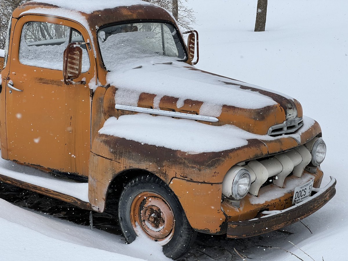 Bob 🐊🇺🇸 tweet media