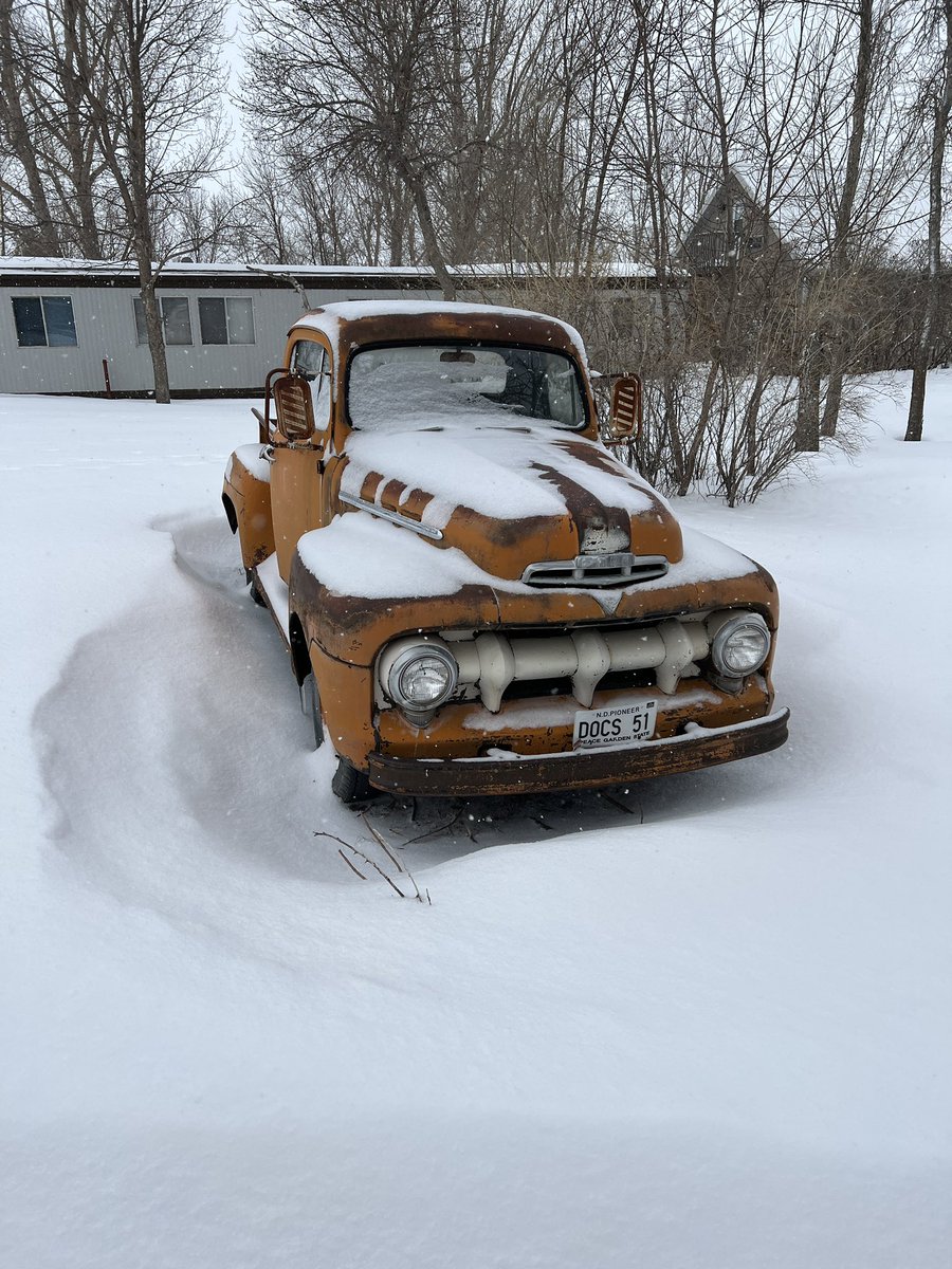 Bob 🐊🇺🇸 tweet media