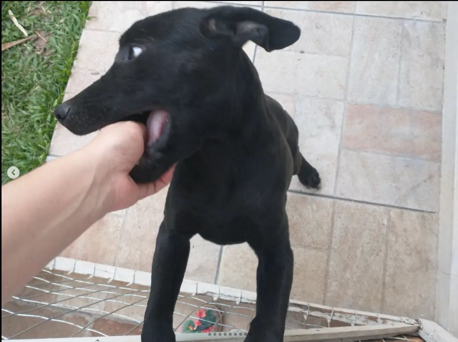 Equipe Rubi tweet media