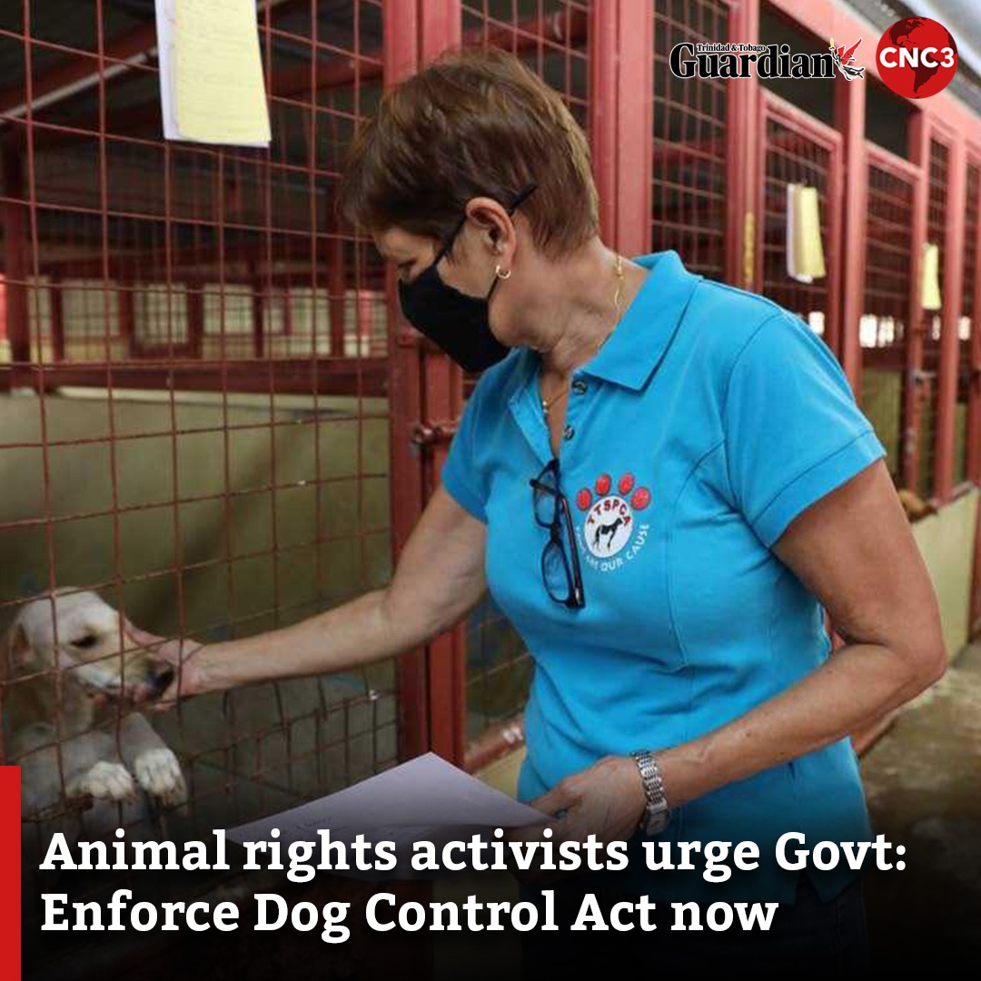 CNC3TV on Twitter "Since being proclaimed nine years ago, animal