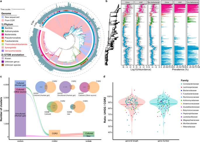 BactGenRSS's tweet photo. The genomic landscape of reference genomes of cultivated human gut bacteria https://t.co/BCFyZ725T9 https://t.co/Vm59PiBijl