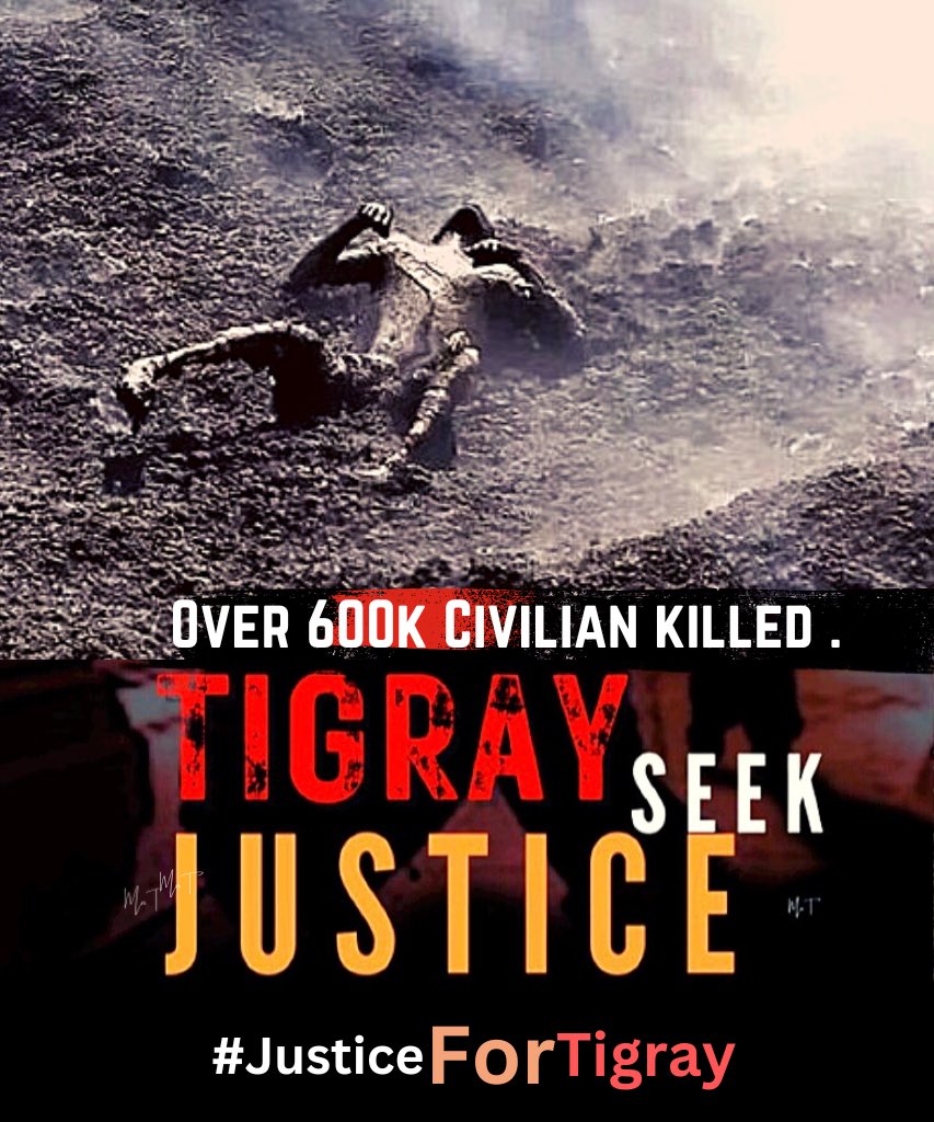 Awetey12's tweet photo. @IC,@AbiyAhmedAli is a war criminal hiding behind the blood +600K of lives in #Tigray.His administration must be held accountable for the innocent lives lost & the trauma they keep inflicting on Tigrayans. #Justice4Tigray #TigrayGenocide @SecBlinken
@UN_HRC @UNHumanRights @Awete https://t.co/p7NX7TPGQQ