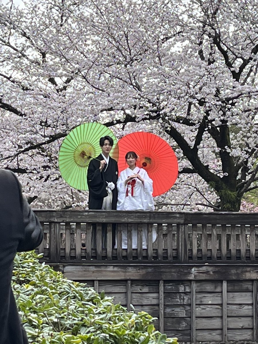 keiko0215bb's tweet photo. 今日は下の娘の前撮り📸
親バカですがすごく綺麗✿ﾟ❀.(*´▽`*)❀.ﾟ✿だった♡   桜の中🌸素敵😍
江里菜おめでとう https://t.co/sN8SqFoxy3