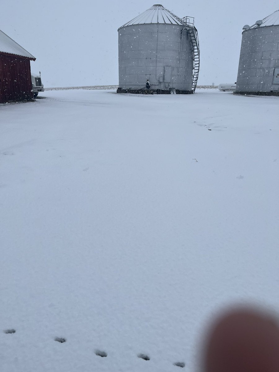 olsonoly19's tweet photo. @GoddessofGrain @SamuelBHudson Looks like it. Here we are with 4 more inches of snow and still snowing in Henry County IL https://t.co/8YW2Tei54P