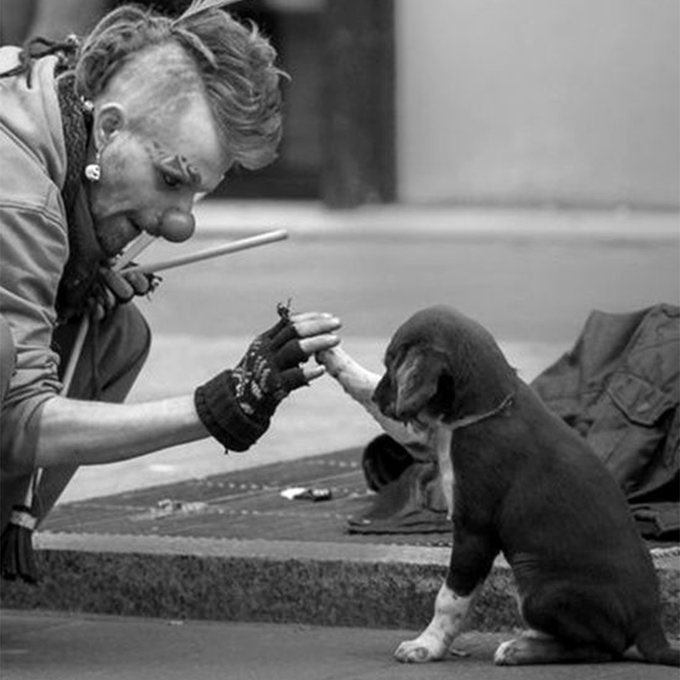 culturaliteral1's tweet image. “He llegado a la conclusión 
de que si las cicatrices enseñan, 
las caricias también.”

Mario Benedetti