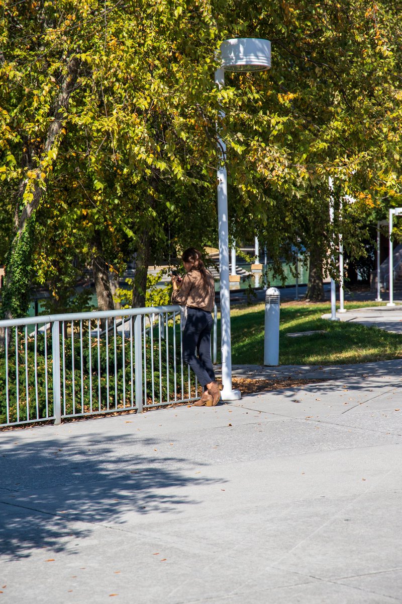 anthrazine's tweet photo. Explore the diversity of plant life in cities. Anthra features art, poetry and inspiring creative writing that highlights the importance of protecting urban nature #citynature https://t.co/TjNqlaBYIg