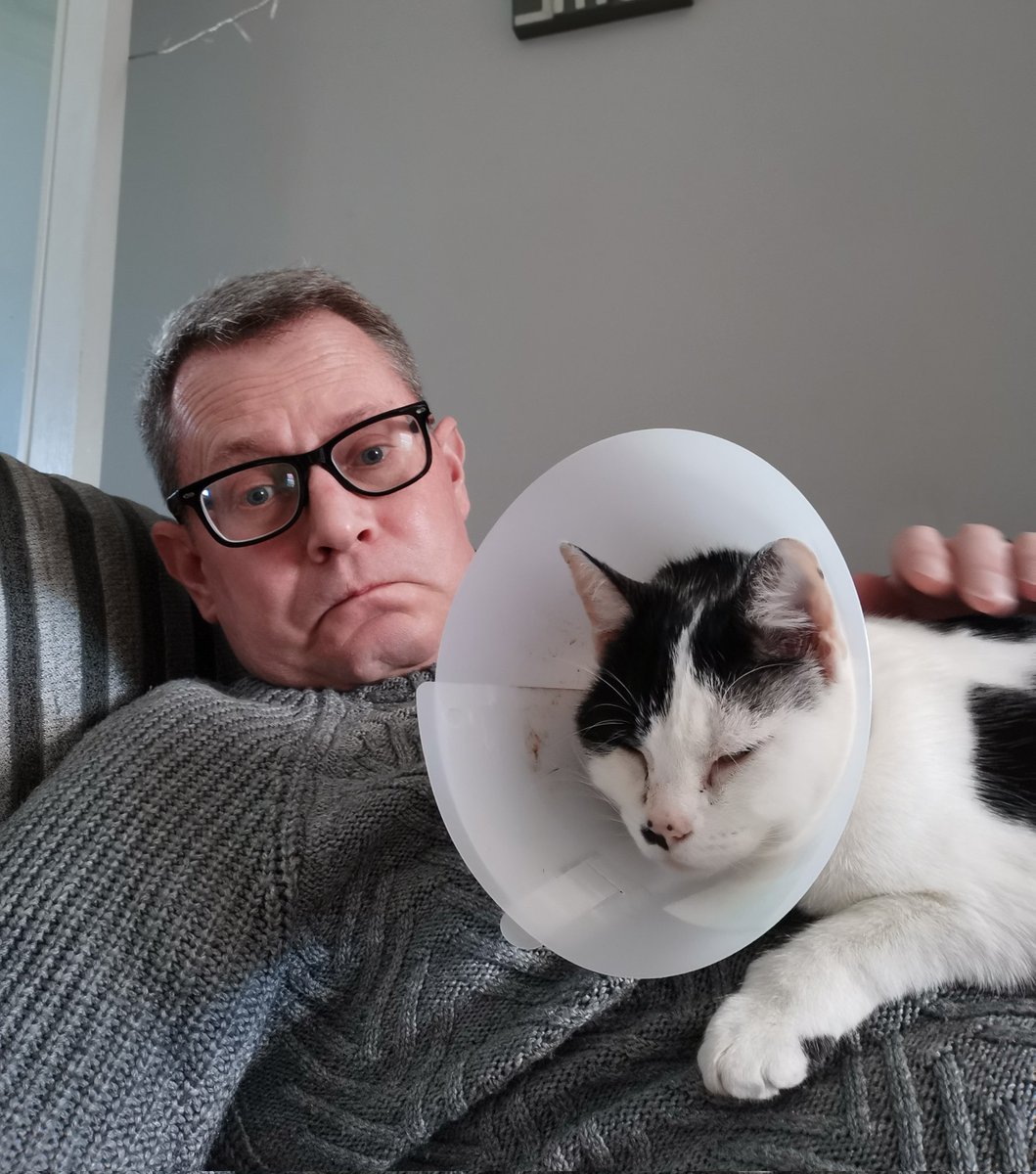 AdeMitchell's tweet photo. Tilly is back under house arrest after she scratched her wound open again. Her mum is away overnight, so I popped in just now to check on her. #sadfaces https://t.co/MtGPUtxgNv