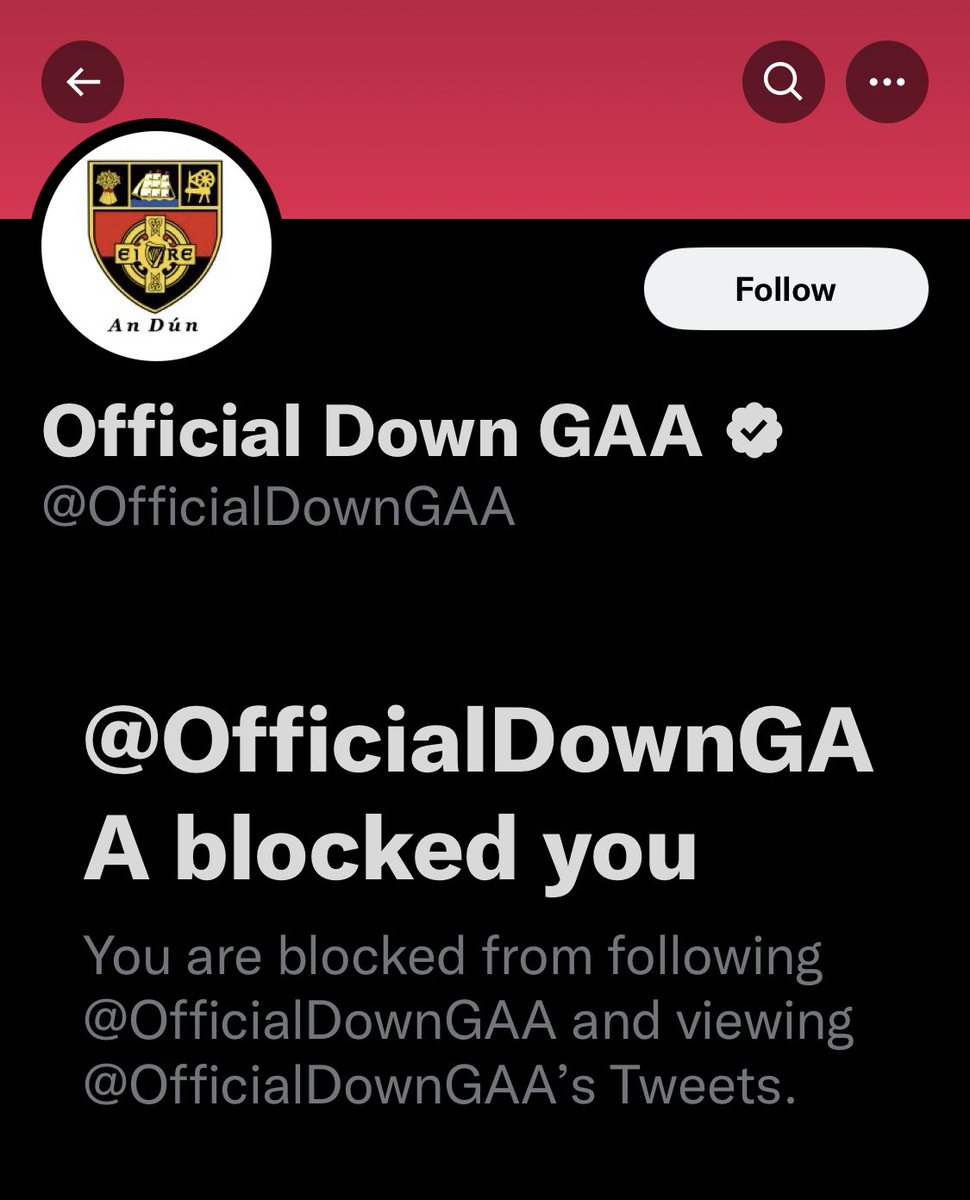 Shane Mulholland tweet media