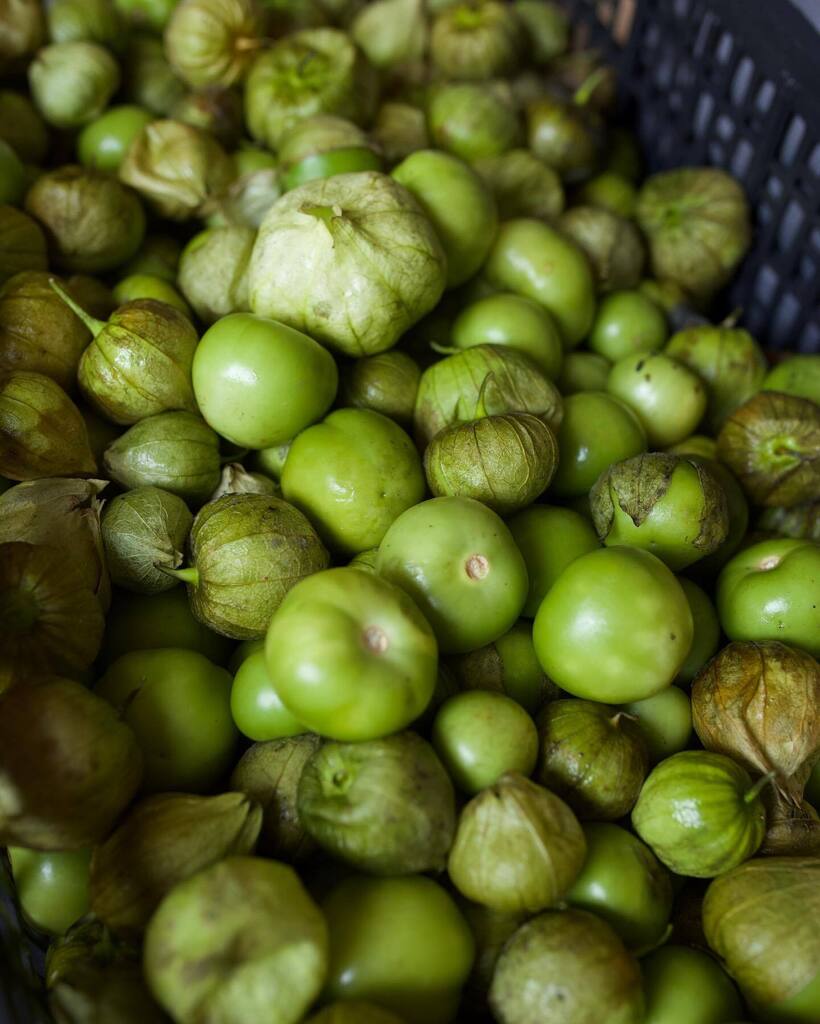 LiberatusDC's tweet photo. Tomatillos on Produce Fridays from our trip to the US-Mexico border with @borderperspective for Volume One. Photo by @anastasiawaltphoto 
•••
Take a deep dive into life along the US-Mexico border in solidarity with those who have been displaced or marginalized in Volume One.… https://t.co/lQwe9RogrP