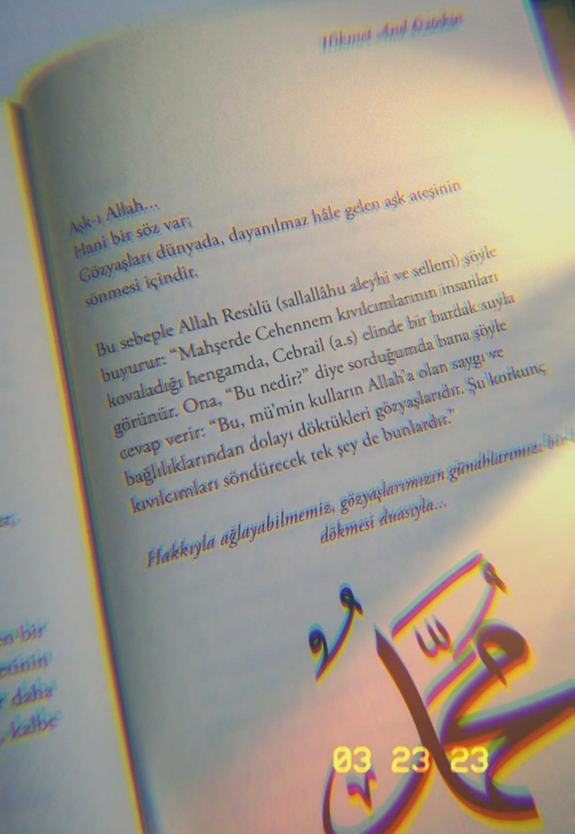 `Elif Gibi Sevmek 2