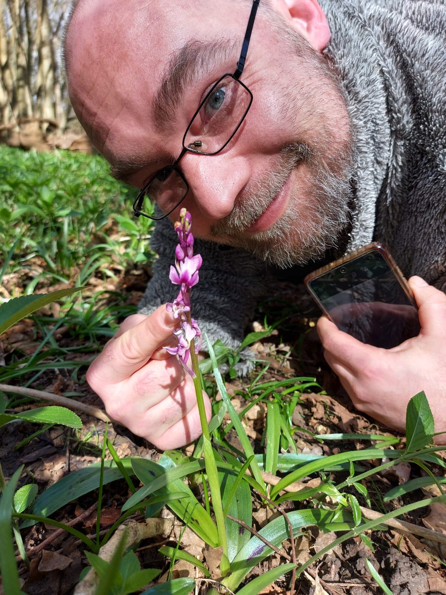 Early Purple Orchid, Ranscombe Farm, Kent. TODAY!!!