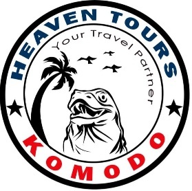 komodoheaventours.com
YOUR TRAVEL PARTNER!

#Komododragon #komodotour #komodoholiday #besttrip #wonderfulindonesia #tourbooking #labuanbajotrip