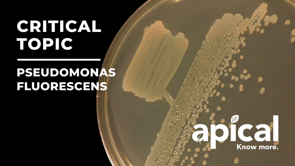 Apical Crop Science tweet media