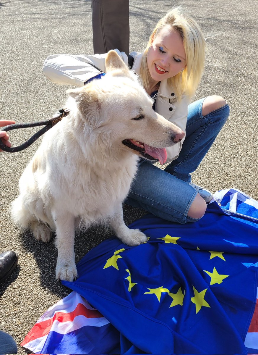 Happy National Day for Rejoining the EU! 🥳🇪🇺💙🇬🇧 My Dad told me he spent 3 days making this placard and he even varnished it in case it rained 😂☔️ #RejoinEU <a href="/MarchForRejoin/">National Rejoin March</a> <a href="/euromove/">European Movement UK (on BlueSky)</a> #Sheffield #SheffieldisSuper