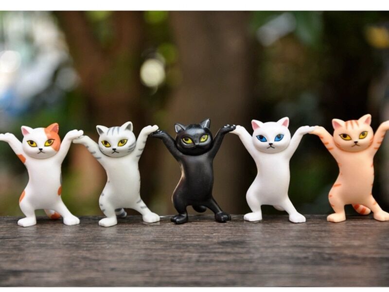 VeryBunnyStore's tweet photo. Add some laughter to your home with these hilarious #SassyCats! 😂🐾  #CatMemes #ShopNow at https://t.co/VsHVbO8p5q #USA #officedecor #cutecatskittens #cutecatclub #catscute #cutekittycat #cutepaws https://t.co/fYTSKxVlAo
