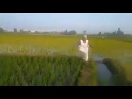 صحيت الصبح ولسه مفتحتش عيني قولت أفتح الفيس اشوف الدنيا ، وعينيك ما تشوف إلا النور ، لقيت أمي منزله استوري بالغلط صورتي شبه بلبوص من مصيف ٢٠١٩