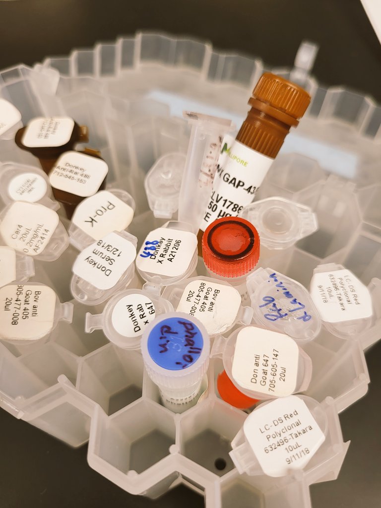 Zachary Whiddon tweet media