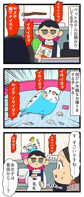 ペットホテルでお預かりの子の様子がおかしいと思ったら……?

⚠️一部フィクションを交えております
747 #えるポピの絵日記かくところ https://t.co/JuttgEo0Mk
