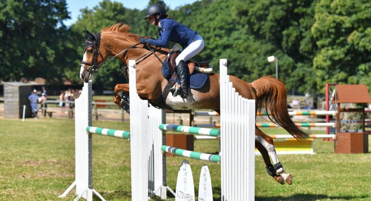 Horse Monkey tweet media
