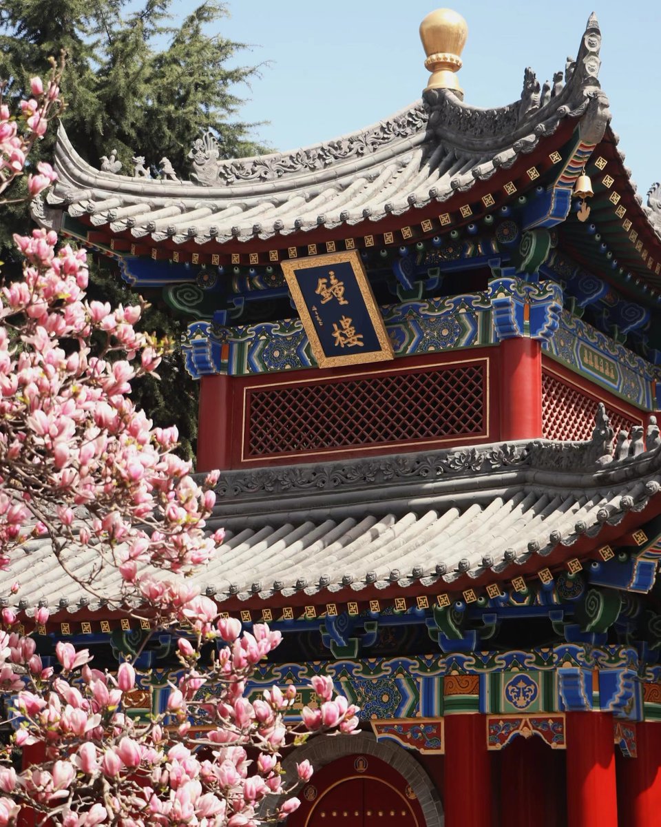 ShaanxiPlus's tweet photo. This is Xi'an, a city that you don't want to leave once you come. Its cultural heritage is profound and amazing. #BestTourismDestination  #ShandongTourismDevelopmentConfence @IQingDao2021 https://t.co/QYMvh61eZ1