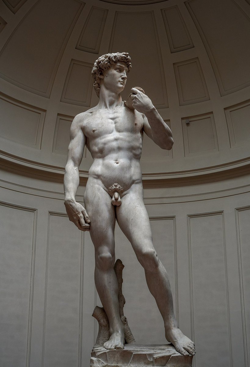 Un’insegnante della Florida è stata costretta a licenziarsi per aver mostrato agli studenti le foto del David di Michelangelo. Scambiare l’arte per pornografia è semplicemente ridicolo.