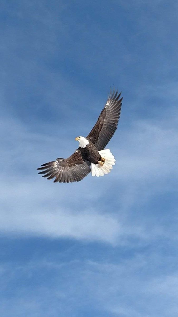 spankinaces's tweet image. #merica #nofilter #notaprofessional but I did stay at a Holiday inn Express last night.