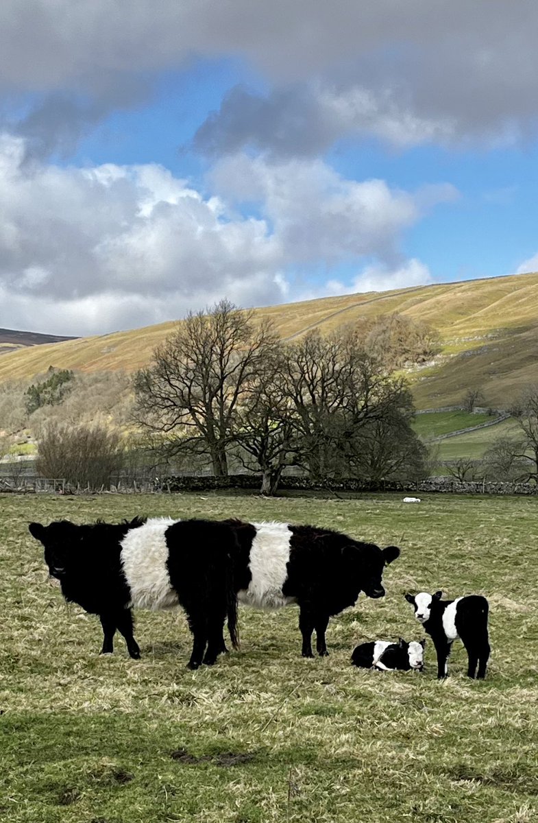 Hill Top Farm tweet media