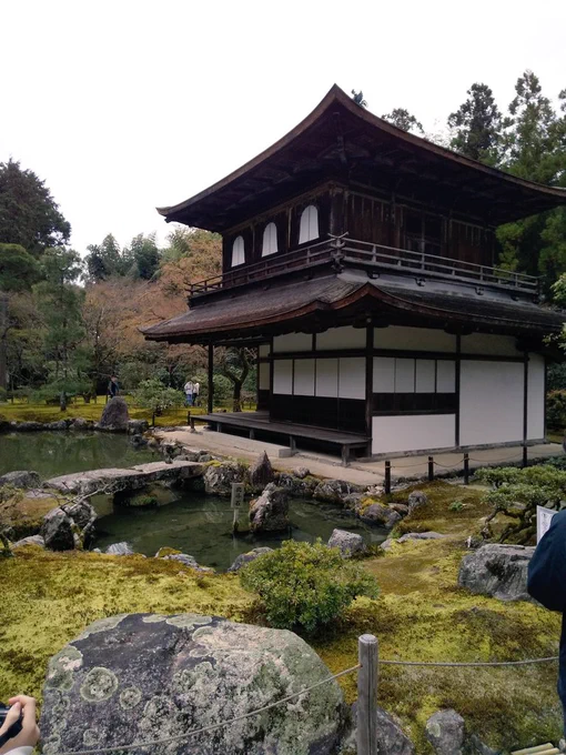 久々の日帰り旅行です桜の京都きれいでした 