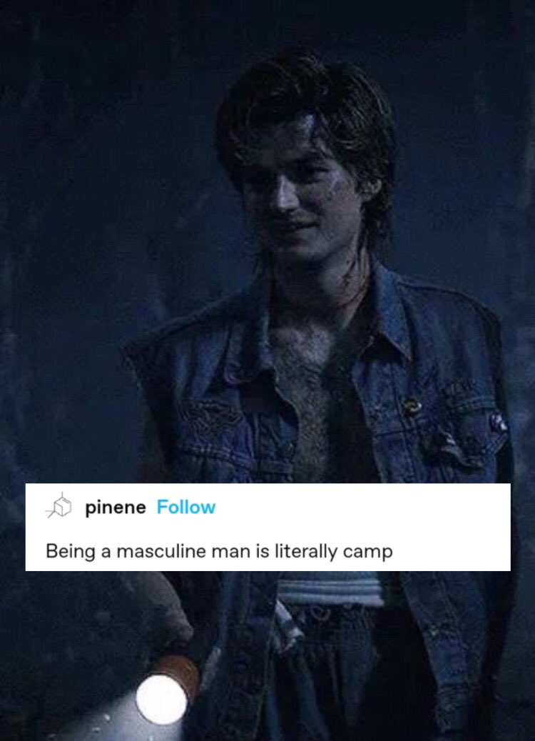 vampallergy's tweet photo. best type of character is a man written to be so aggressively heterosexual he doubles back around again to being bi coded https://t.co/ODpkoRc420