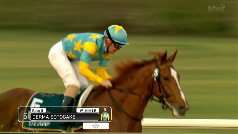 بطل درابي الامارات حل ثالث في درابي السعوديه Derma Sotogake (JPN)
(3C Mind Your Biscuits - Amour Poesine, by Neo Universe)   اللذي توج به البطل كومنشر كنق ل فيصل محمد الجضعي