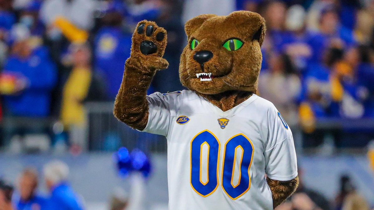 Dylan Stephenson tweet media